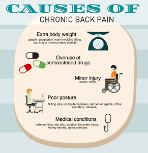 The causes of chronic back pain are diverse.