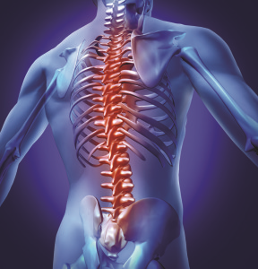 Improve your spine health at Natural Results Chiropractic in Front Royal, VA.