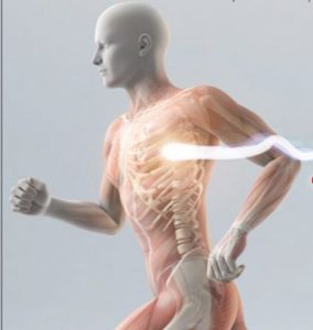 heart spine